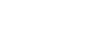 DCI Logo All White